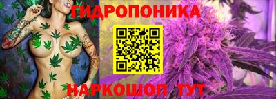MDMA Premium VHQ Аргун