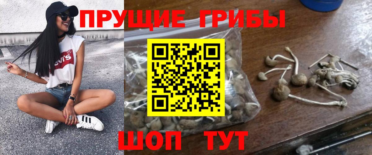 Галлюциногенные грибы ЛСД  закладки  Аша  Вход с VPN 