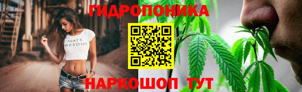 Канабис Bruce Banner Аша